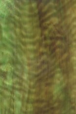 Textured Glass, Green Series, code A23-42／RX