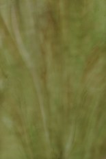 Textured Glass, Green Series, code A23-64／QW