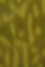 Textured Glass, Green Series, code B023S-21／F