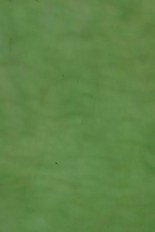 Textured Glass, Green Series, code B23-73／R23