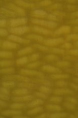Textured Glass, Green Series, code B23S-02／R4
