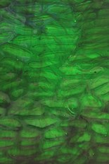Textured Glass, Green Series, code C23-05／R4