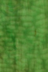 Textured Glass, Green Series, code W023-92／R4