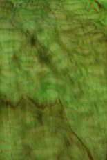 Textured Glass, Green Series, code W023-93／R4