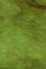 Textured Glass, Green Series, code W023-94A／R23