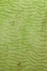 Textured Glass, Green Series, code W023-94B／R23