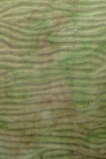 Textured Glass, Green Series, code W039-56／R