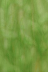 Textured Glass, Green Series, code W23-93／F