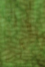 Textured Glass, Green Series, code W23-94A／R4