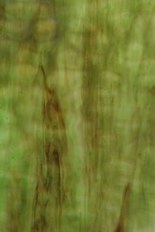 Textured Glass, Green Series, code W23-94C／R4