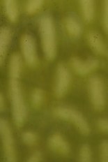 Textured Glass, Green Series, code W23S-20／F