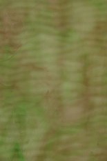 Textured Glass, Green Series, code W39-55／R