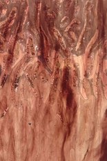 Textured Glass, Purple Series, code 029-44／R14