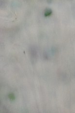 Fracture Glass, glass sample, code ZBO-39／T